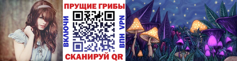 где найти   Еманжелинск  Псилоцибиновые грибы Psilocybe 