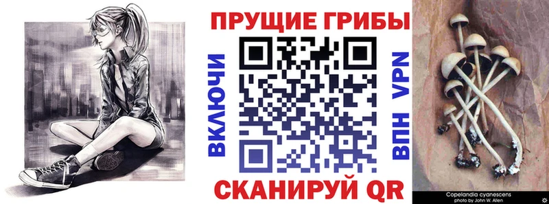 Псилоцибиновые грибы Magic Shrooms Еманжелинск